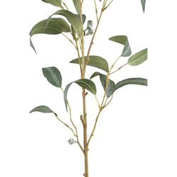 PTMD Leaves Plant Green eucalyptus spray w seeds long - afbeelding 2
