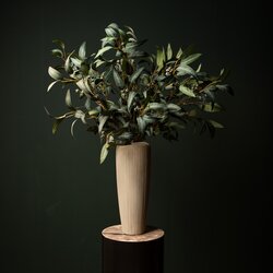 PTMD Leaves Plant Green eucalyptus spray w seeds long - afbeelding 3