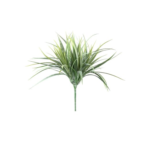 PTMD Leaves Plant Green field grass bush