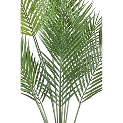 PTMD Leaves Plant Green palm bush middle - afbeelding 2