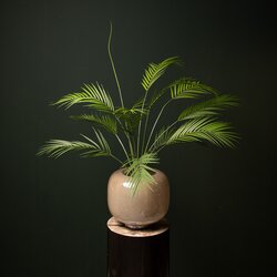 PTMD Leaves Plant Green palm bush middle - afbeelding 3