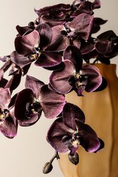 PTMD Orchid Flower Bronze phalaenopsis spray - afbeelding 4