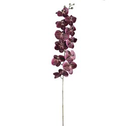 PTMD Orchid Flower Bronze phalaenopsis spray - afbeelding 1