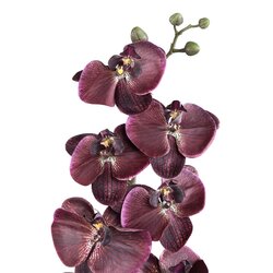 PTMD Orchid Flower Bronze phalaenopsis spray - afbeelding 2