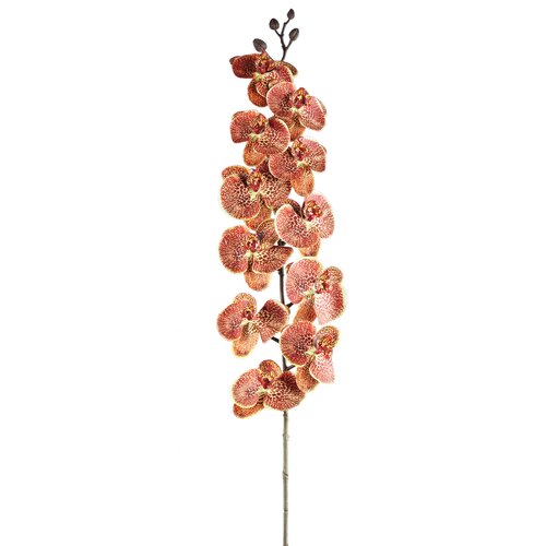 PTMD Orchid Flower Orange phalaenopsis spray - afbeelding 1