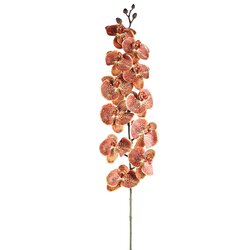 PTMD Orchid Flower Orange phalaenopsis spray - afbeelding 1
