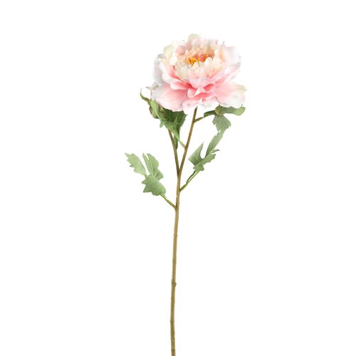 PTMD Peony Flower pink with bud