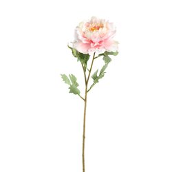 PTMD Peony Flower pink with bud