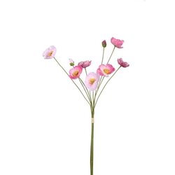 PTMD Poppy Flower Pink bundle with buds