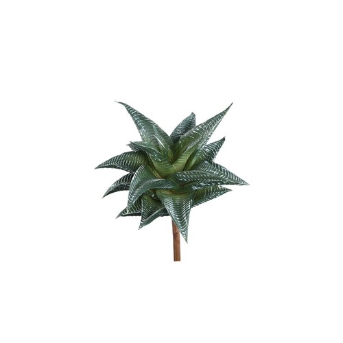PTMD Succulent Plant Green agave pick with lines - afbeelding 1