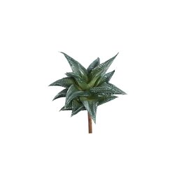 PTMD Succulent Plant Green agave pick with lines - afbeelding 1