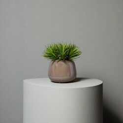 PTMD Succulent Plant Green yucca pick - afbeelding 2