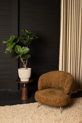 PTMD Tree Green ficus tree in pot L - afbeelding 3
