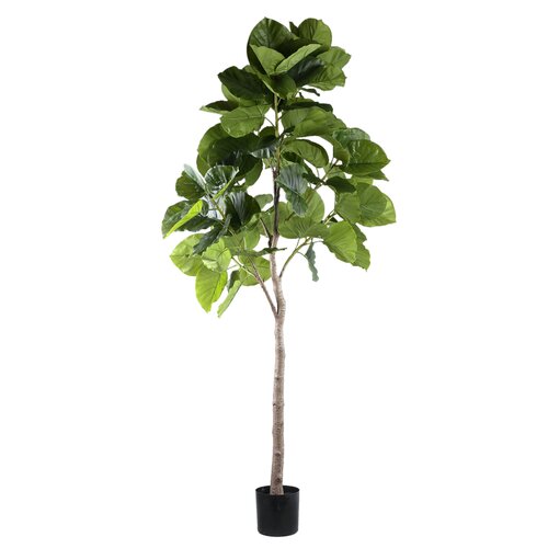 PTMD Tree Green ficus tree in pot L - afbeelding 1