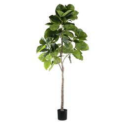 PTMD Tree Green ficus tree in pot L - afbeelding 1