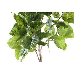 PTMD Tree Green ficus tree in pot L - afbeelding 2