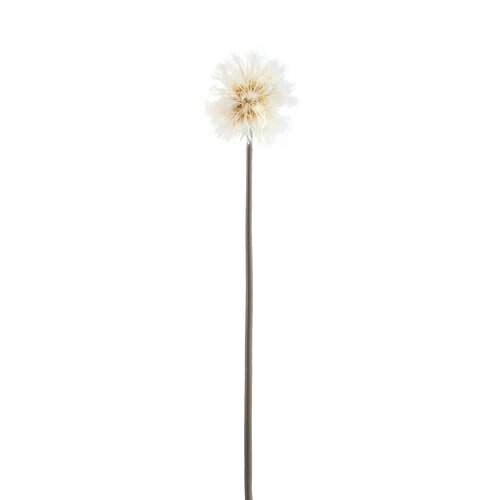 PTMD Twig Plant Cream dandelion stem - afbeelding 1