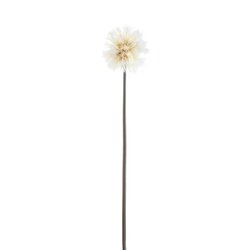 PTMD Twig Plant Cream dandelion stem - afbeelding 1