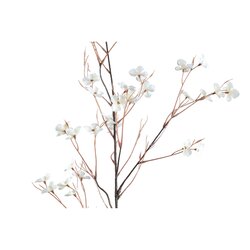 PTMD Twig Plant Cream wild flower spray - afbeelding 2
