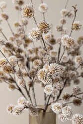 PTMD Twig Plant Light Brown pine ball spray - afbeelding 4