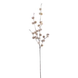 PTMD Twig Plant Light Brown pine ball spray - afbeelding 1