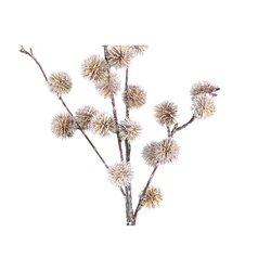 PTMD Twig Plant Light Brown pine ball spray - afbeelding 2