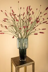 PTMD Garden Flower Great Burnet spray - afbeelding 3
