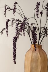 PTMD Twig Plant Purple hanging pokeweed spray - afbeelding 4