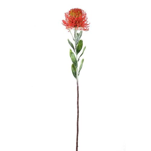 PTMD Twig Plant Red protea spray with leaves