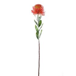 PTMD Twig Plant Red protea spray with leaves