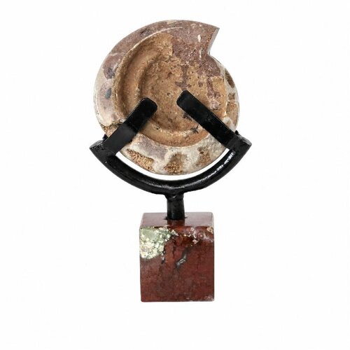 PTMD Yuria Natural open ammonite ornament cube stand XS