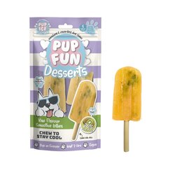 Pupfun Hondendessert smoothie kiwi pak a 2st
