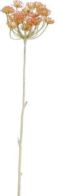 PURE Anethum l72cm zalm
