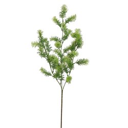 Pure Asparagustak l70cm groen