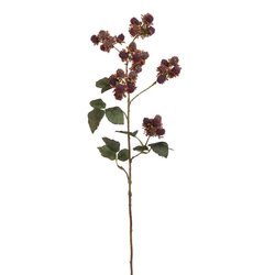 PURE Bramentak l78cm paars