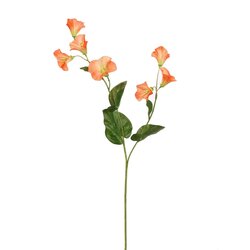PURE Campagnulasteel l61cm oranje