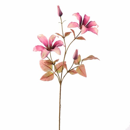 Pure Clematissteel l65cm lavender