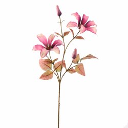 Pure Clematissteel l65cm lavender