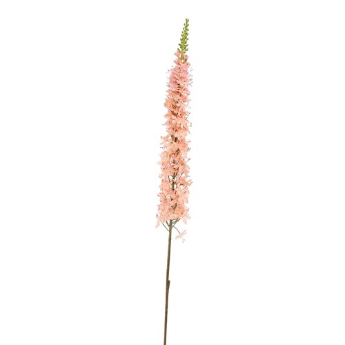 Pure Eremurussteel l109cm roze