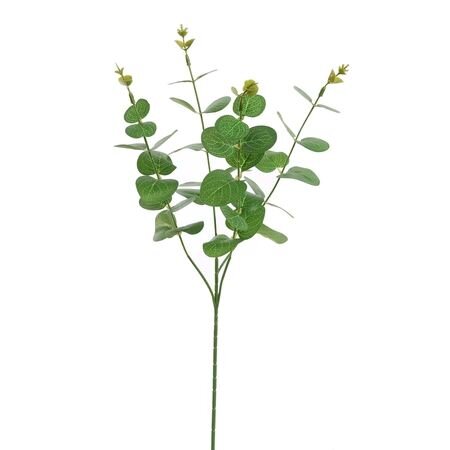 PURE Eucalyptussteel l60cm groen