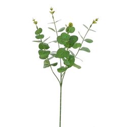 PURE Eucalyptussteel l60cm groen