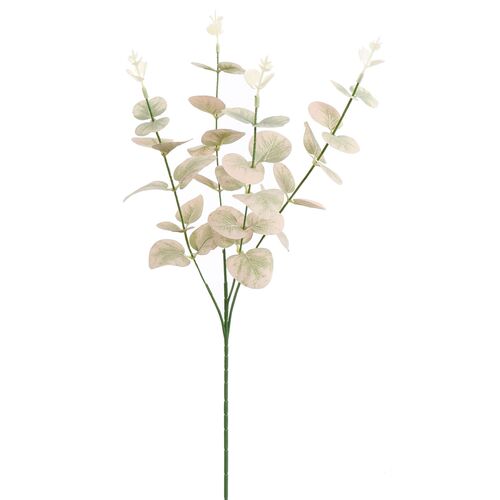 Pure Eucalyptussteel l60cm roze