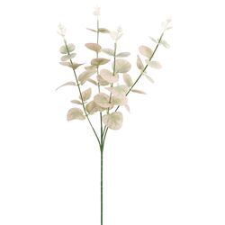 Pure Eucalyptussteel l60cm roze