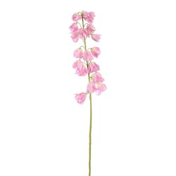 Pure Fritillariasteel l80cm roze