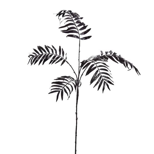 Pure Gelakte varentak l85cm zwart