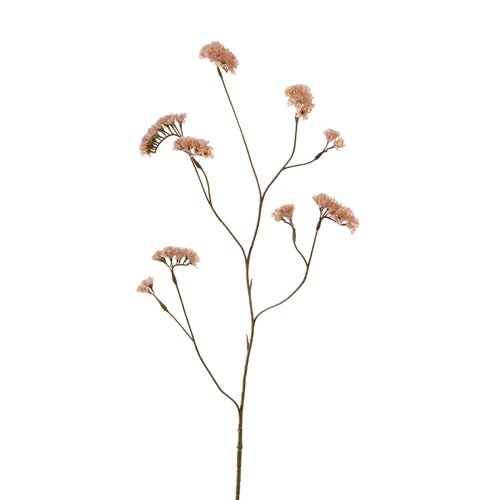 Pure Limoniumsteel l92cm roze