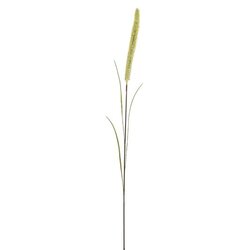 PURE Pluimgras x2 l70cm creme