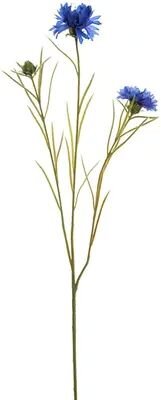 Pure Royal Korenbloemsteel x3 l72cm blauw