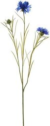 Pure Royal Korenbloemsteel x3 l72cm blauw