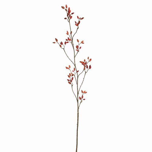 Pure Rozenbotteltak l120cm oranje